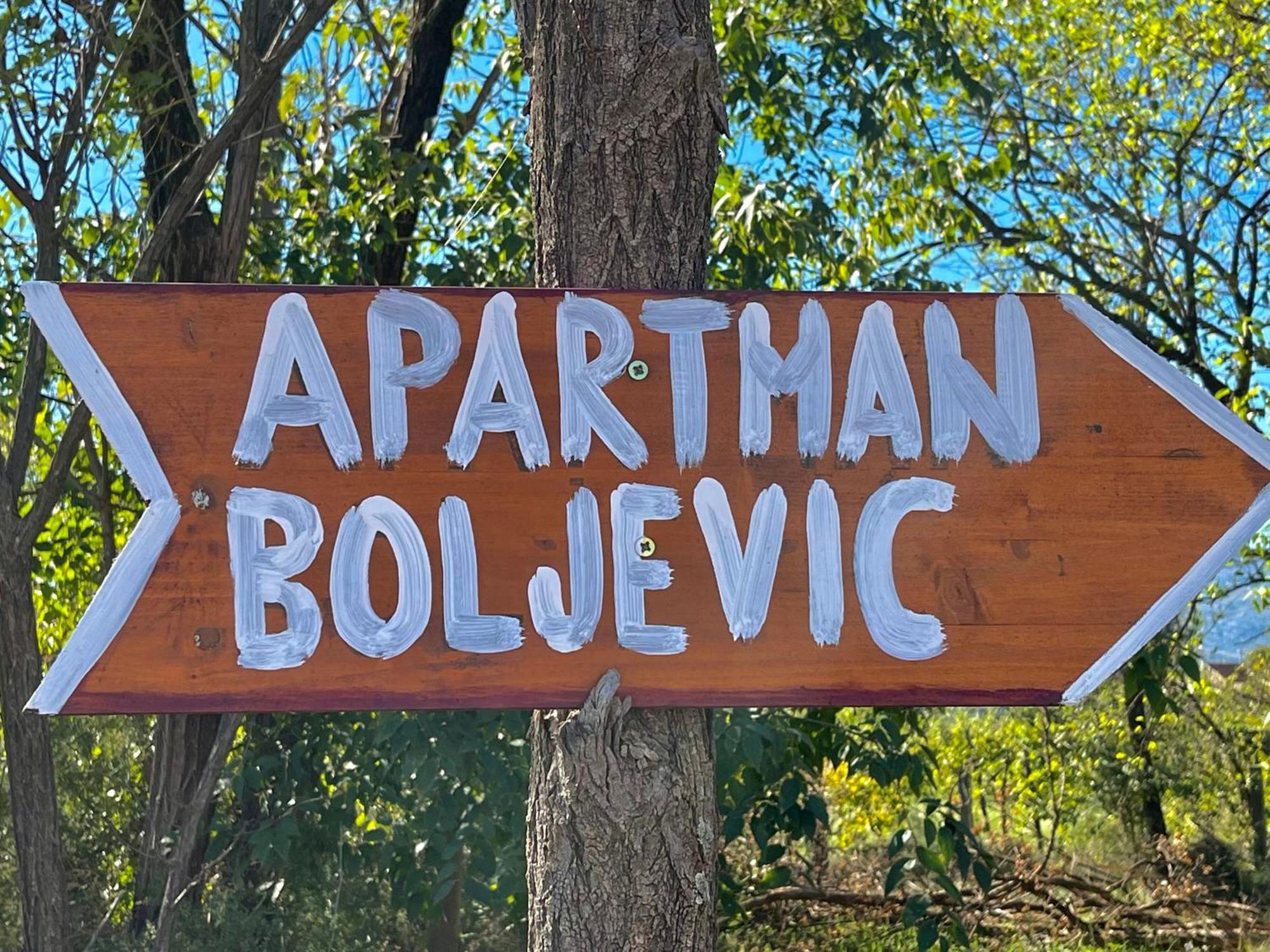 Apartman Boljevic Подгорица Экстерьер фото